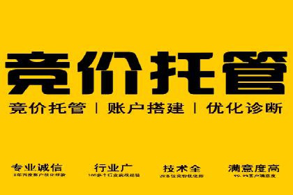 成功案例揭秘：SEM托管公司的策略与技巧